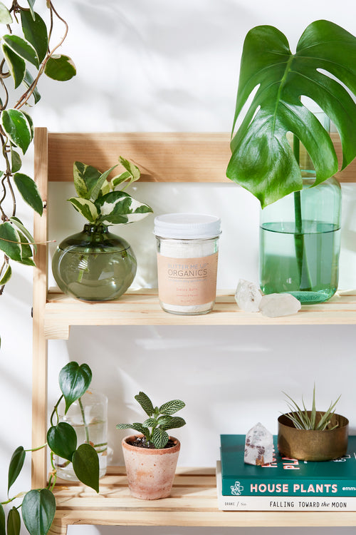 TerraDetox Soak